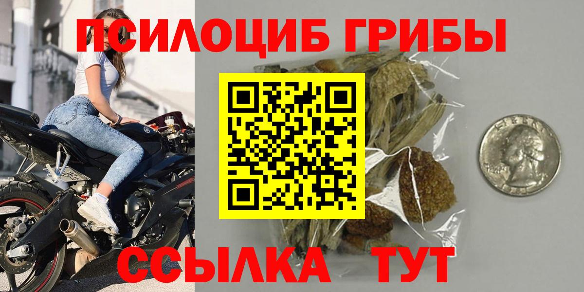 Псилоцибиновые грибы Cubensis Гусь-Хрустальный